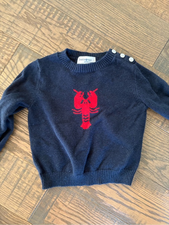 Bambino Other - 12-18 m Bambino Navy Lobster Sweater
